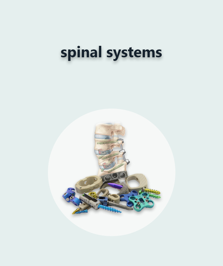 Spinal systems